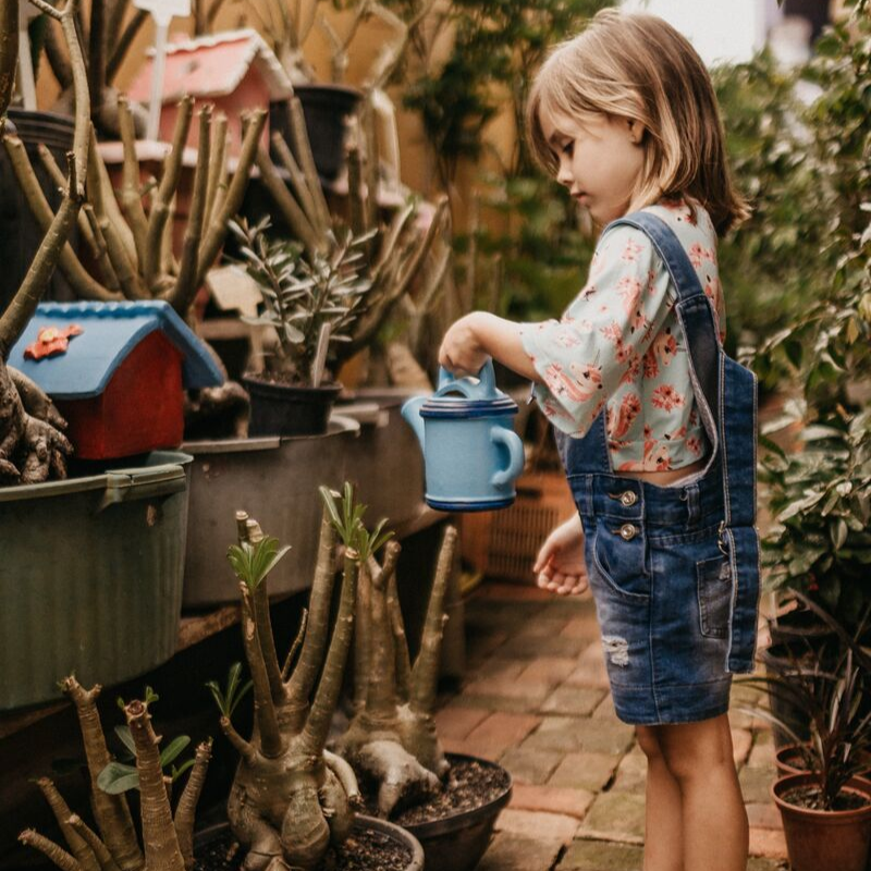 How gardening helps a child’s development?