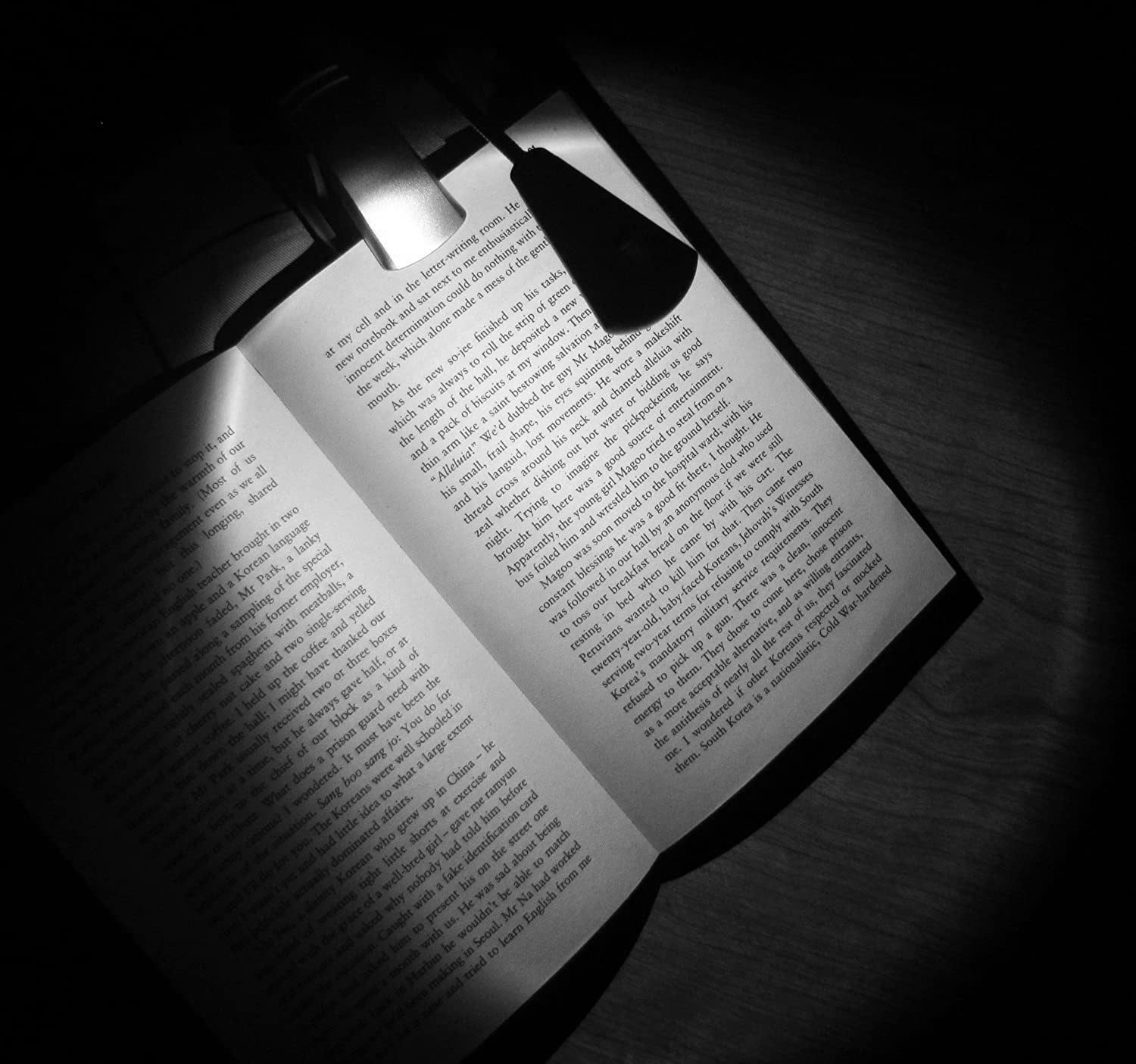 Book with a clip-on light illuminating text in a dark setting