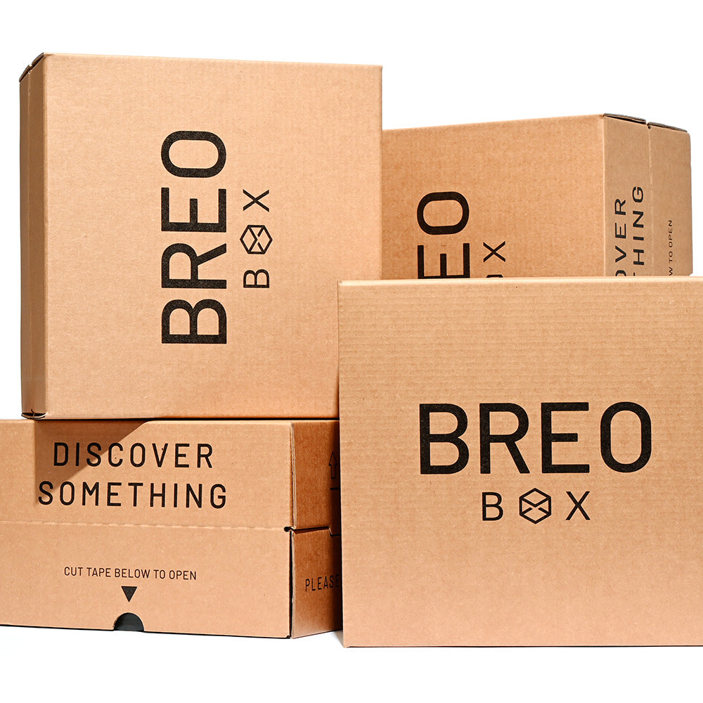 BREO BOX Annual (Fall 2023 Edition)